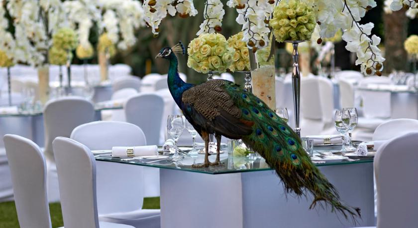 فور سيزون الجيزة