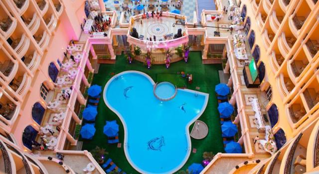 توليب الاسكندرية