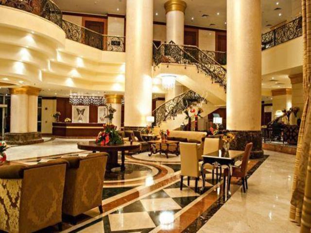 توليب الاسكندرية