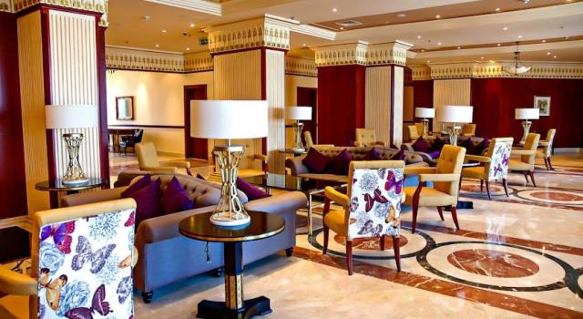 توليب الاسكندرية