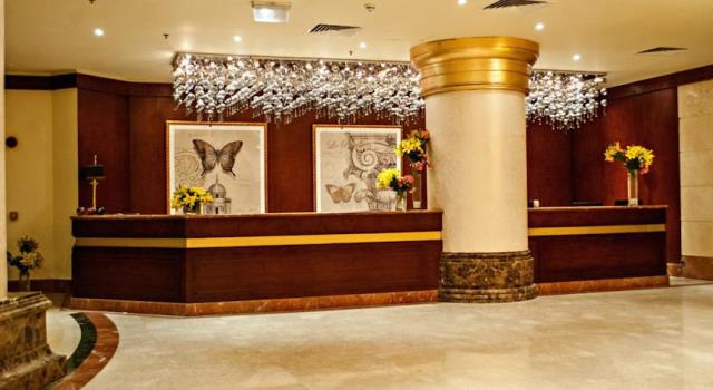 توليب الاسكندرية