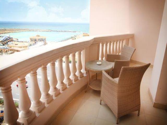 توليب الاسكندرية