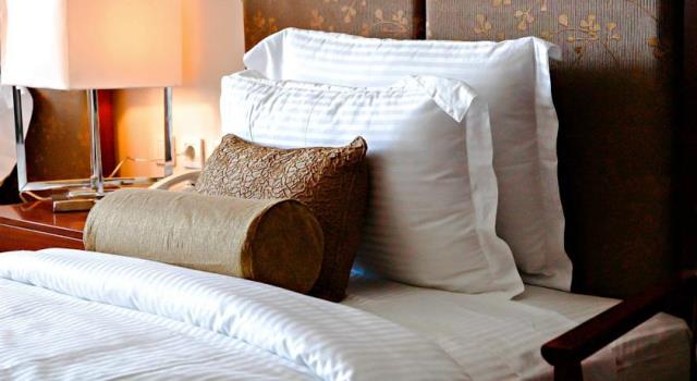 توليب الاسكندرية