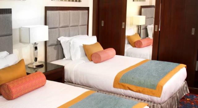 توليب الاسكندرية