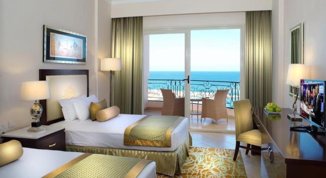 توليب الاسكندرية