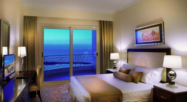 توليب الاسكندرية