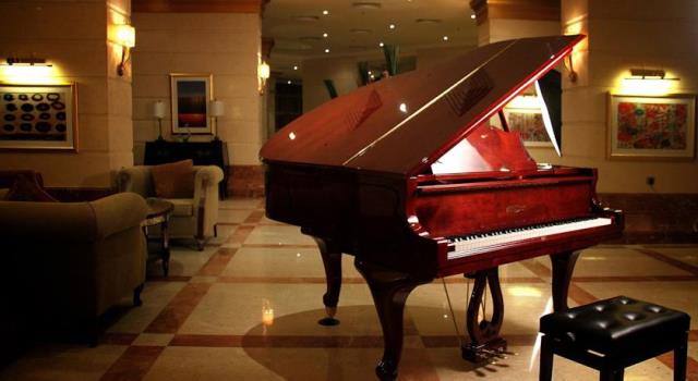 توليب الاسكندرية