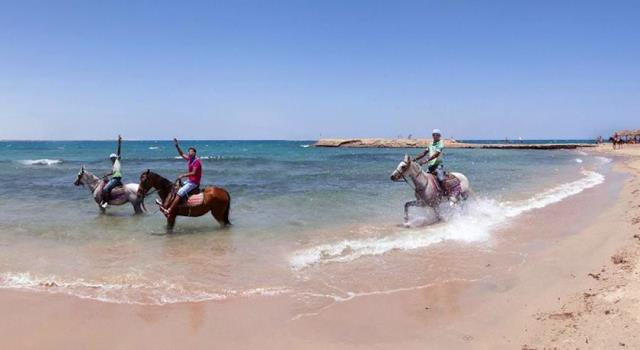 فندق باراديس جولدن فايف ريزورت