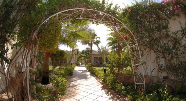 هيلتون الفيروز شرم الشيخ