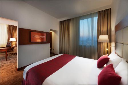 شتيجنبرجر التحرير