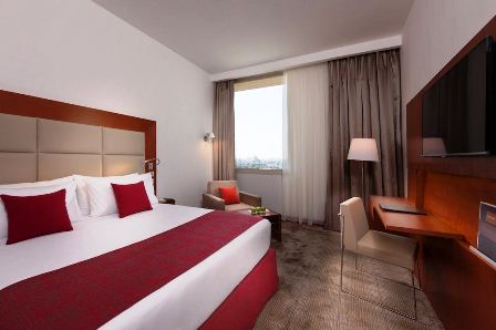 شتيجنبرجر التحرير