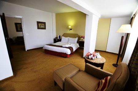 فندق البارون 4 نجوم