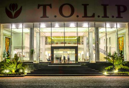 توليب النرجس التجمع الخامس