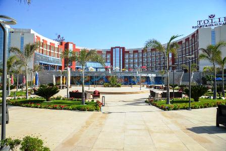 توليب النرجس التجمع الخامس