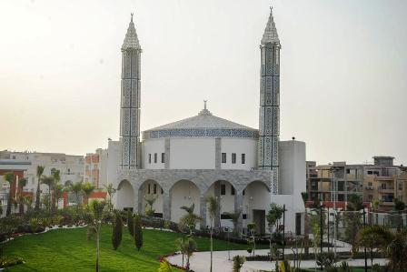 توليب النرجس التجمع الخامس